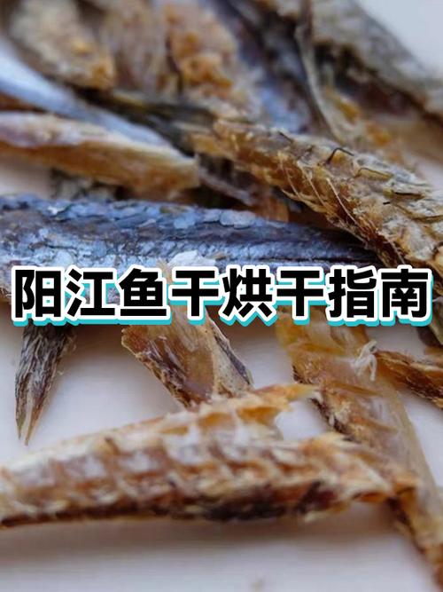 几月份晒鱼干最好图标