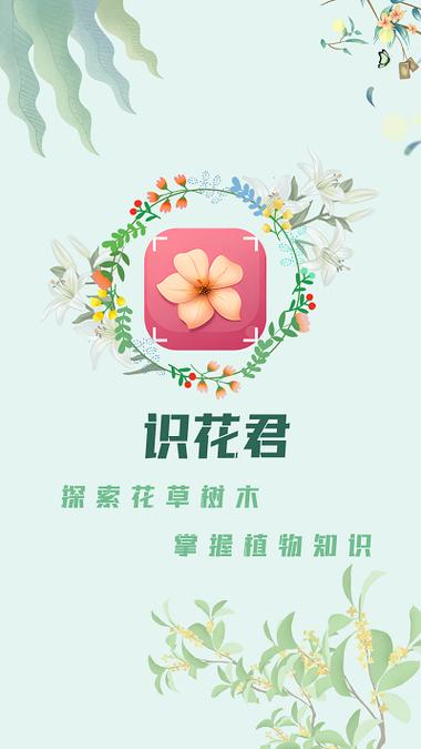 识花君新版