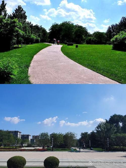 沈阳拍照游戏截图