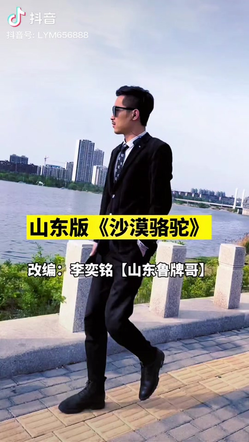 沙漠骆驼改编版