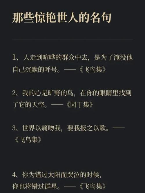 写给麦迪的经典语录