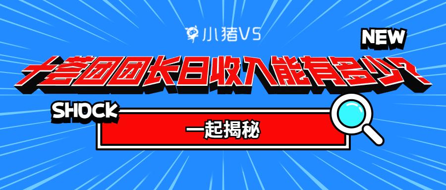十荟团团长收入