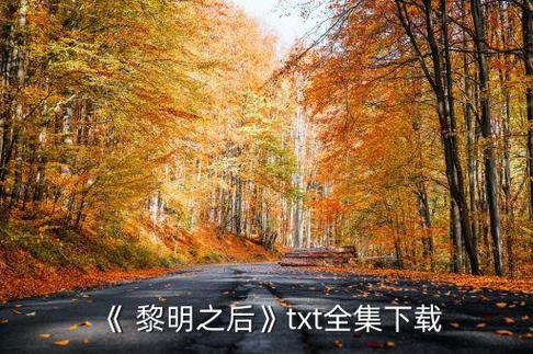 黎明之后txt完整版百度网盘