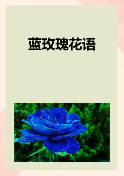 蓝色妖姬的花语是什么意思