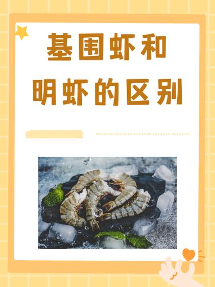 大明虾和基围虾哪个贵