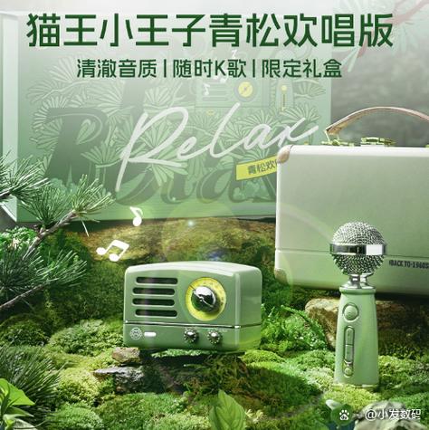 猫王音响功能详解