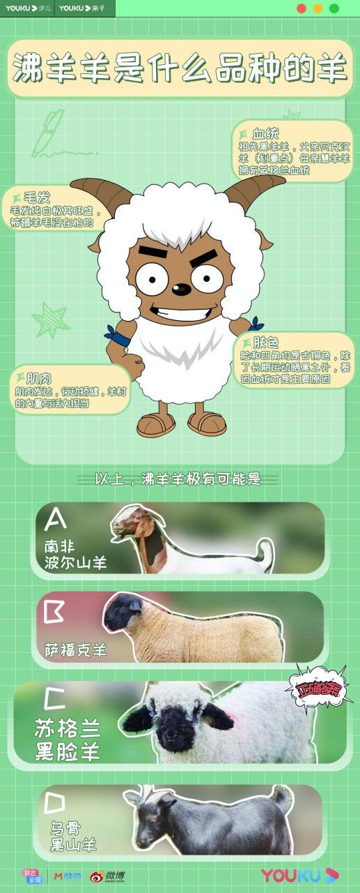 沸羊羊品种介绍