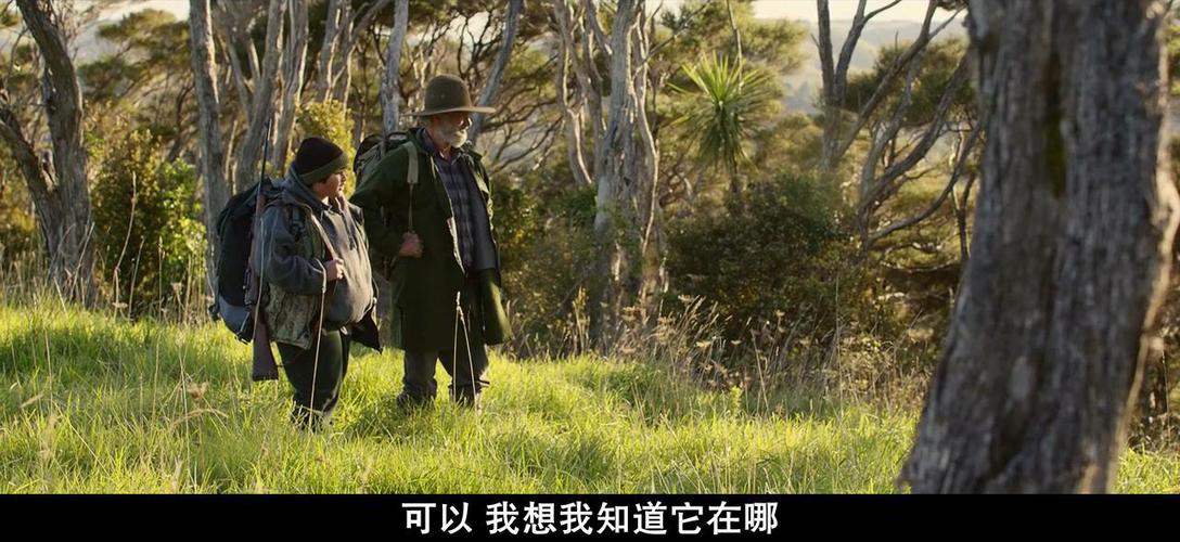 新西兰电影杀发在线观看