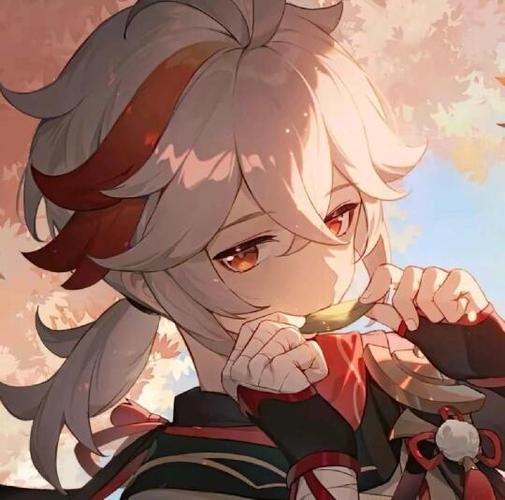 头像原神截图