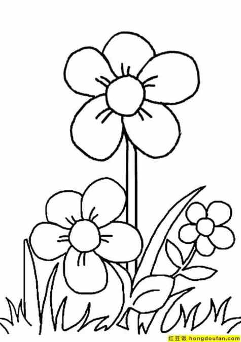 植物简笔画图片大全