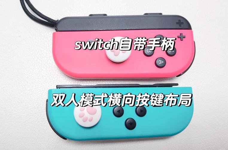 switch如何设置双手柄