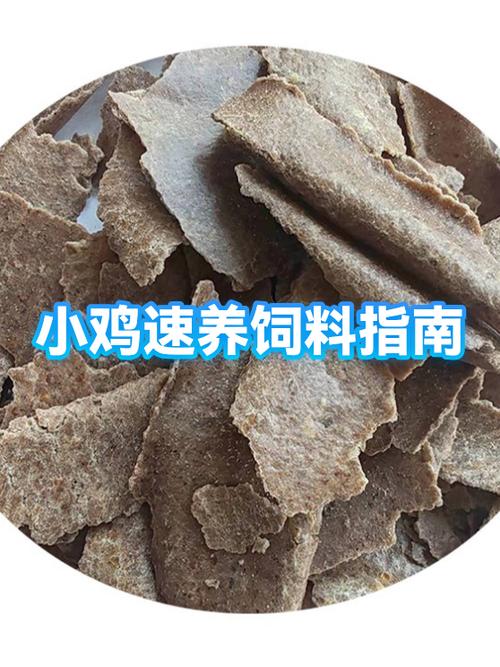 今日小鸡饲料任务答案