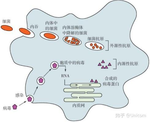 源性是什么意思游戏截图