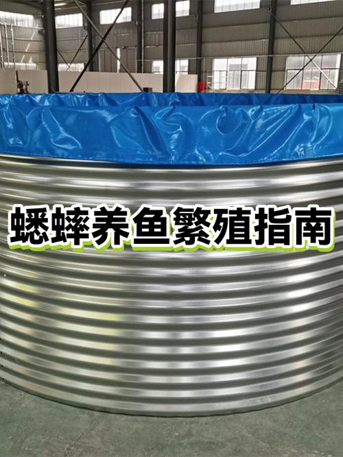 蛐蛐的繁殖方法游戏截图