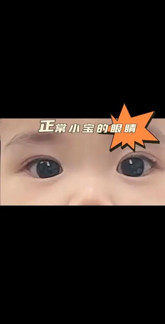 零小宝安卓版