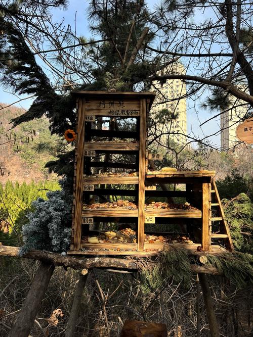 松鼠小屋下载