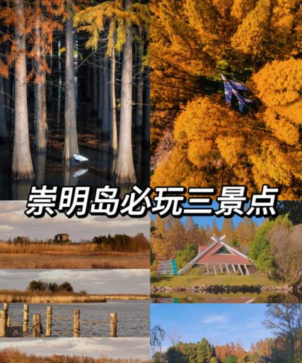 住在崇明岛的坏处