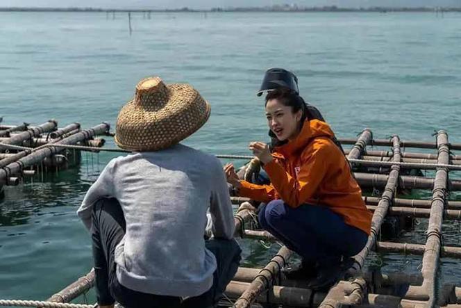 远方的家2021行走海岸线缩略图