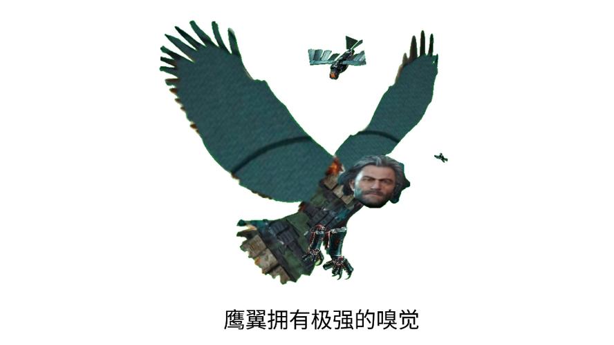 宇宙派来了鹫鹰写具体