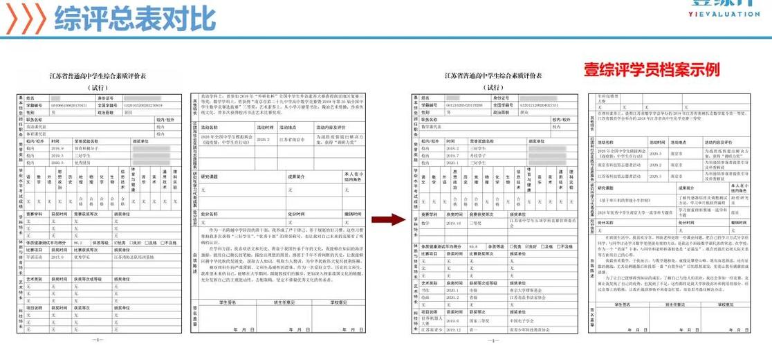 高中综合素质填写示例