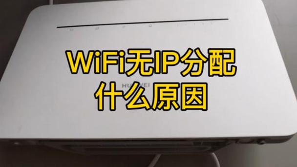 无ip分配连不上wifi