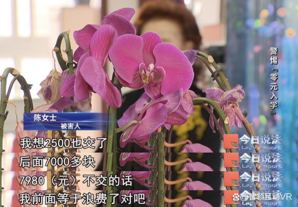 直播间刷上万元是托骗吗