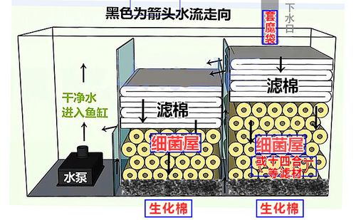 鱼缸过滤材料摆放顺序缩略图