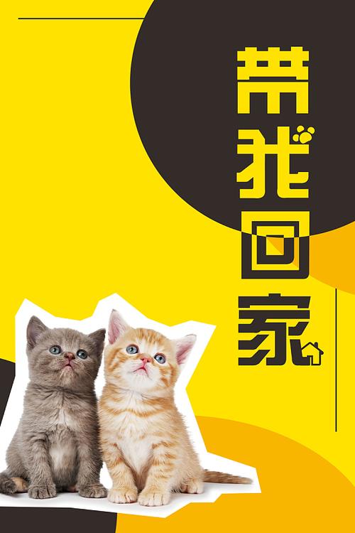 免费送小猫的广告语