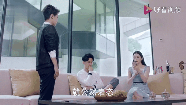 极光之恋演员表