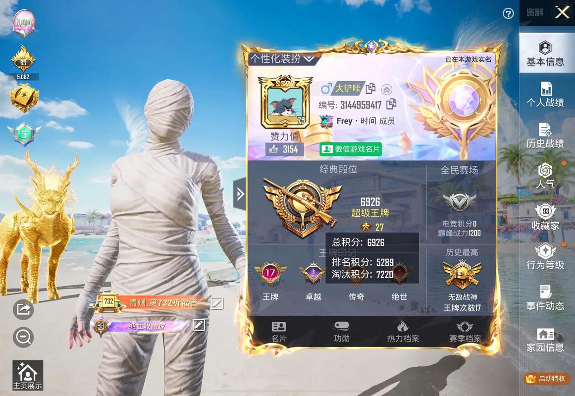 DY直装8.0免费-和平精英缩略图