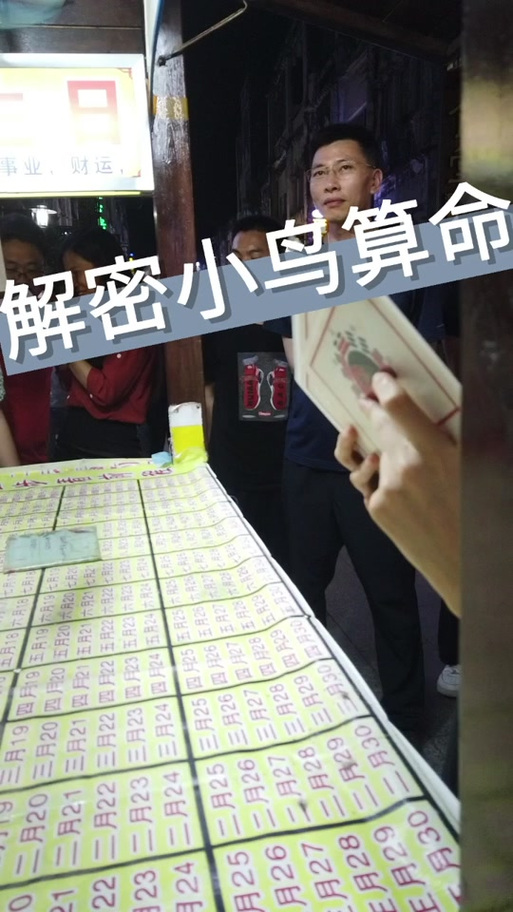 小鸟抽签算命破解图解