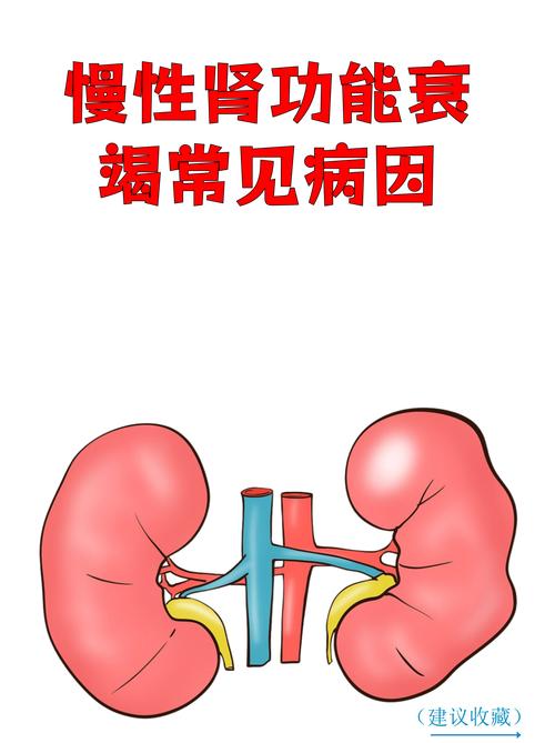 抖肾安卓版