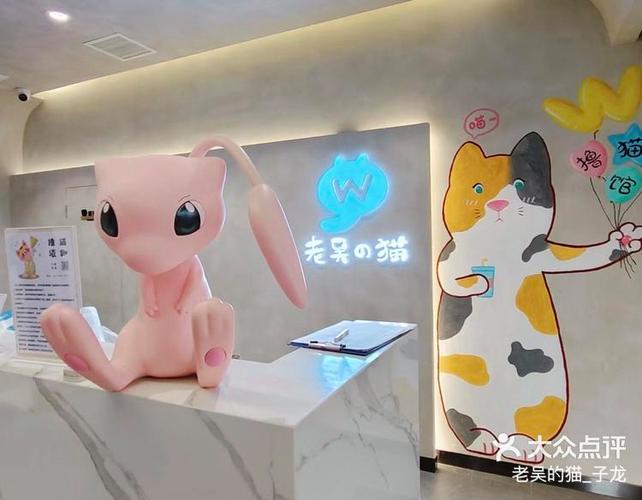买猫是去猫舍还是宠物店