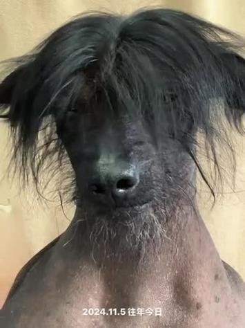 手机可以调整闭眼的照片吗