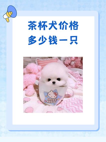 小泰迪狗多少钱一只