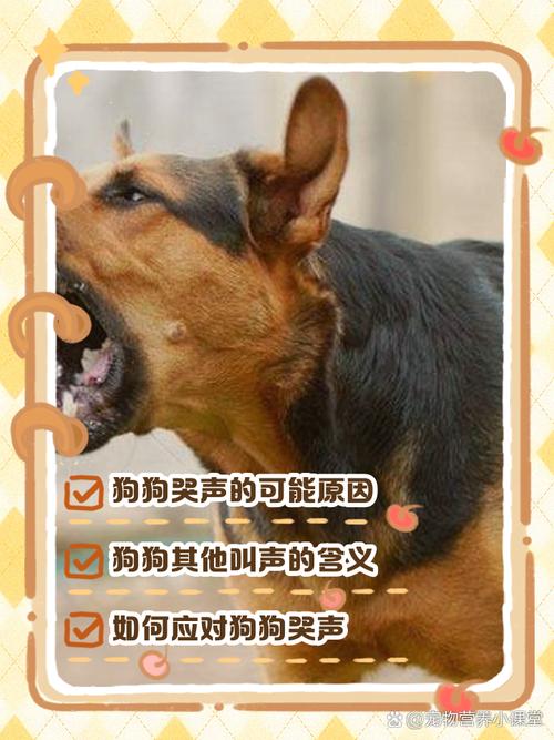 狗叫声 清晰