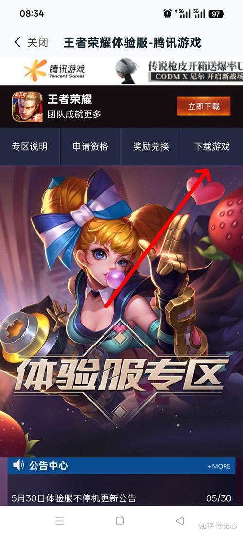 王者体验服官网入口