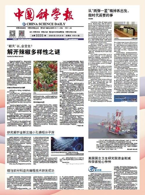 向报社投稿的步骤以及方法