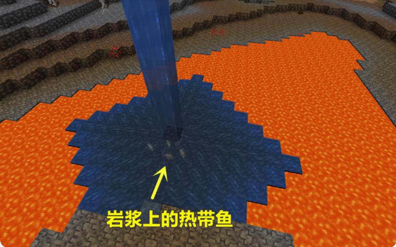 我的世界热带鱼在哪抓