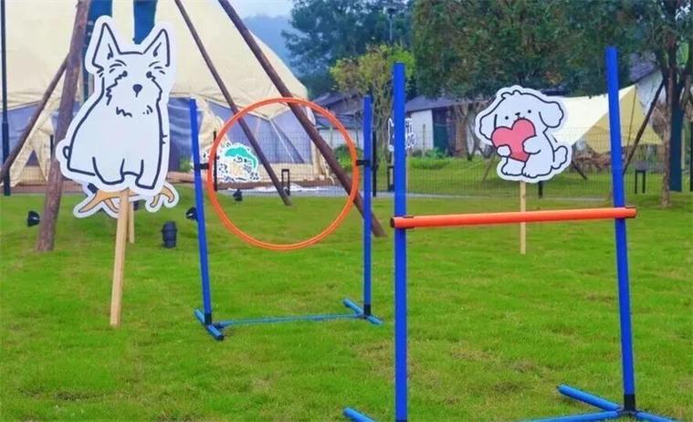宠物乐园最火三个项目