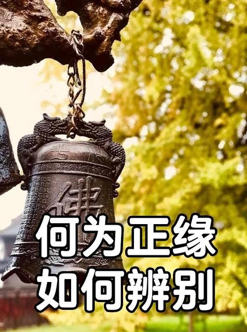 怎么知道自己的正缘什么时候出现截图
