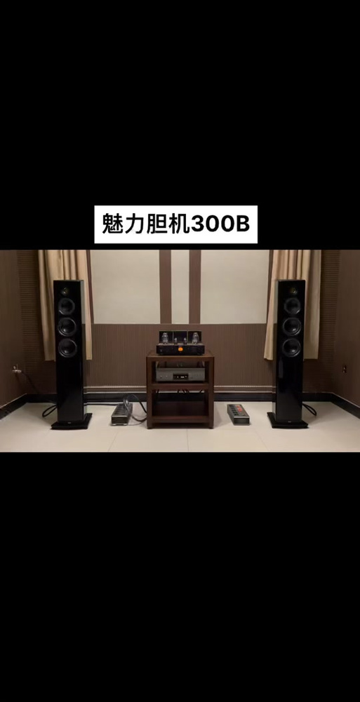 胆机15W能推多少W音箱游戏截图