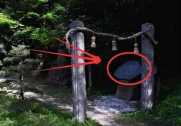 神话禁区在哪里可以看