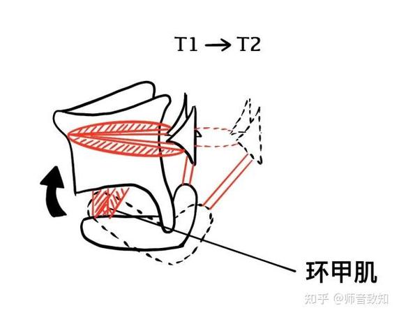 异环震动震动反馈