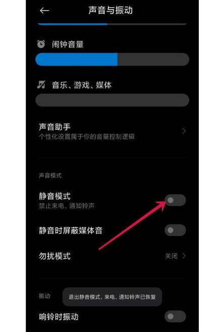 iphone11外放听筒有杂音滋滋缩略图