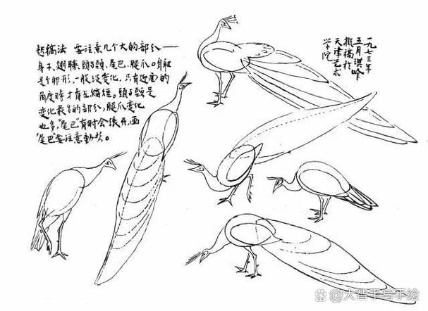孔雀画最忌讳三个属相