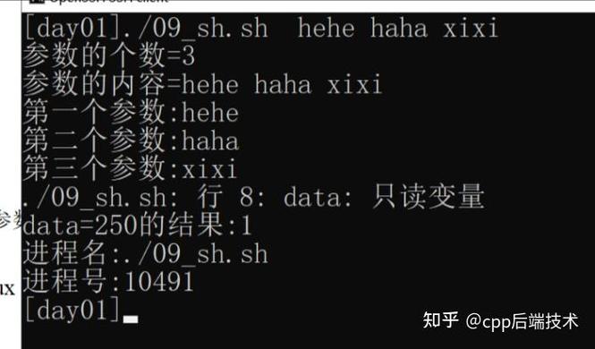 shell脚本命令