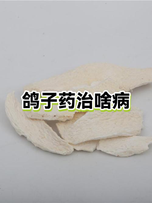 鸽子消瘦吃什么药最有效截图