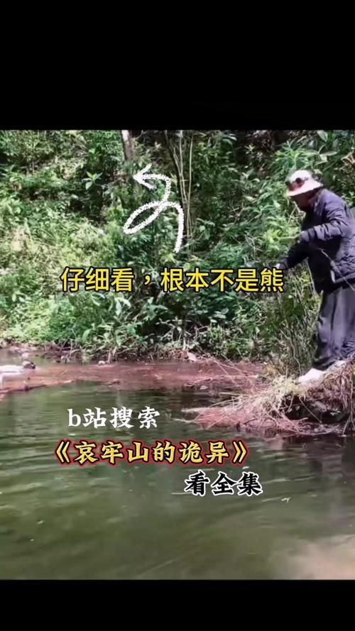 人面熊vs伪人