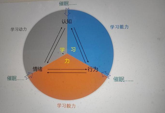 催眠校园(认知修改)小说完缩略图